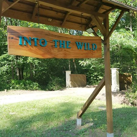 Into The Wild - Nos 5 Logements "Atypiques" Belin-Beliet Kültér fotó