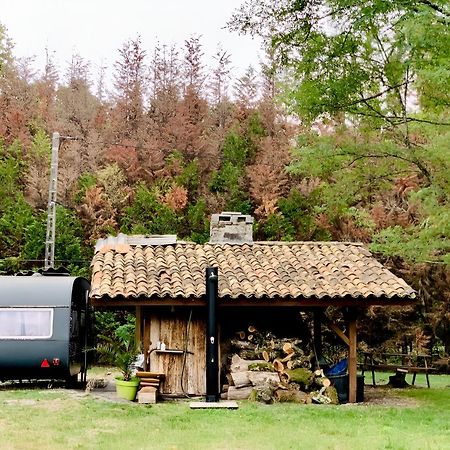 Into The Wild - Nos 5 Logements "Atypiques" Belin-Beliet Kültér fotó
